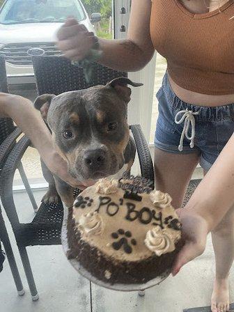 Three Dog Bakery & Grooming (OSP)