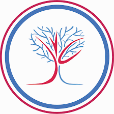 Sarasota Vascular Specialists