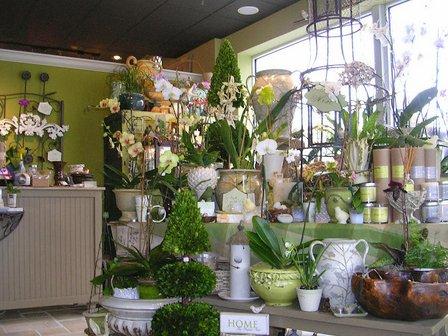 Awesome Orchids