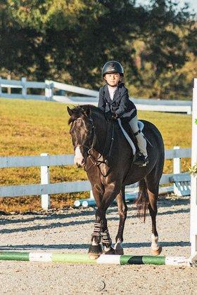 Joyeux Show Jumpers LLC
