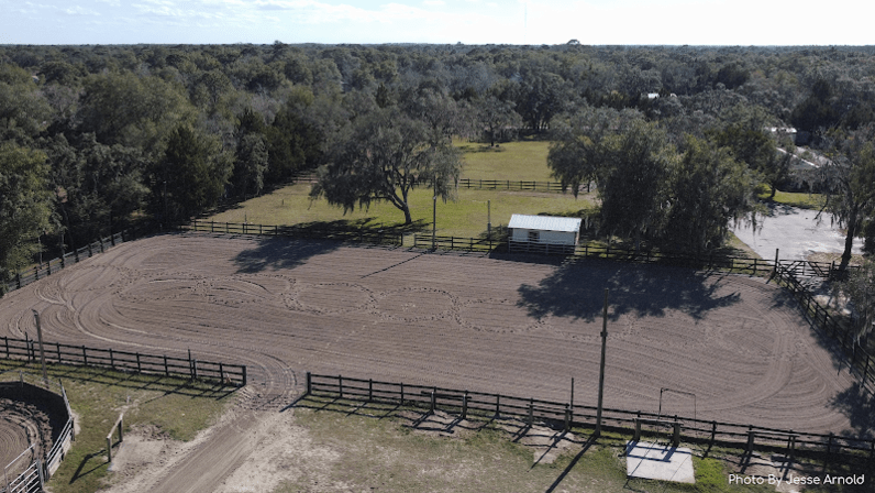 Platinum Horsemanship