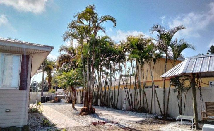 SwendCo... Trees, Stumps & Landscaping