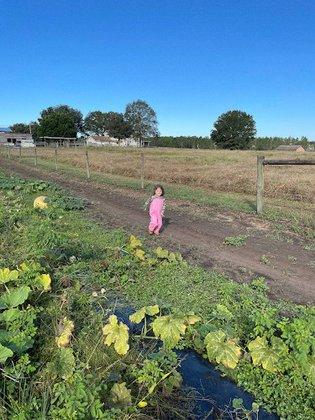 Twelve Oaks Community Farms, Inc