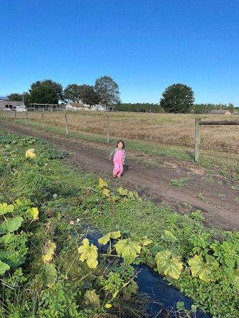 Twelve Oaks Community Farms, Inc