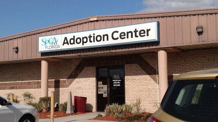 SPCA Florida Adoption Center