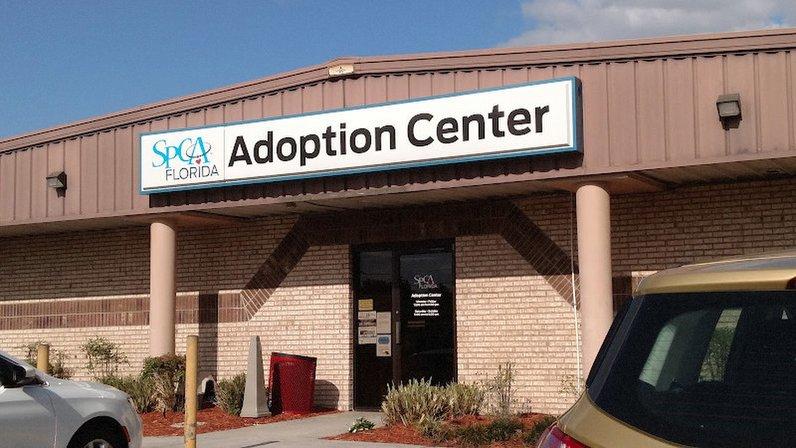 SPCA Florida Adoption Center