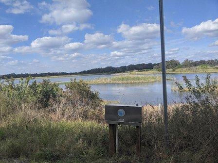 Marshall Hampton Reserve