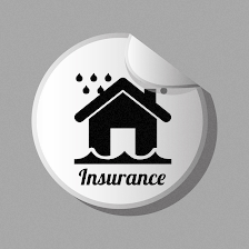Estate Insurance FL