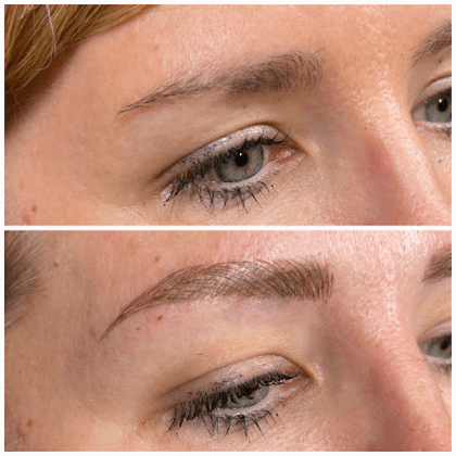 Permanent Makeup & Tattoo Removal -D'Brow Palace Sarasota/Bradenton