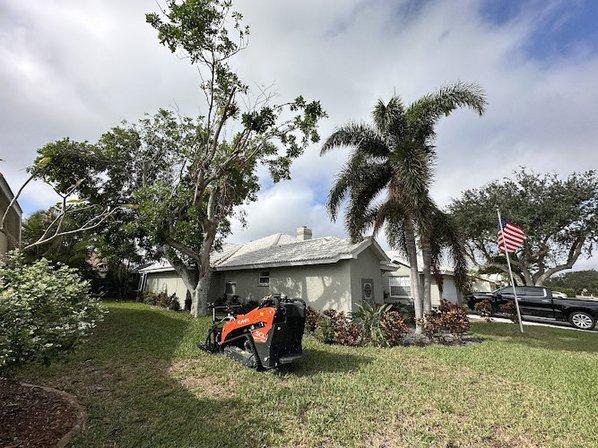 Liberty Tree & Land Services