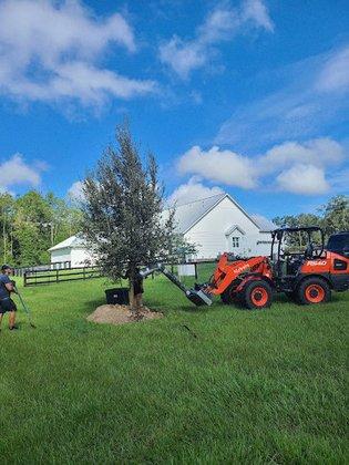 Florida Tree Sales LLC