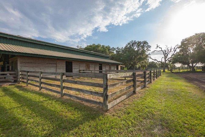 GT Farms & Stables LLC
