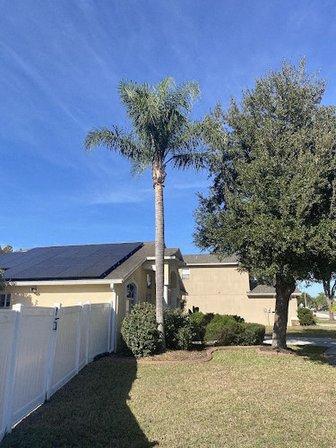 Seth Colbert Landcaping
