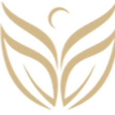 Elements Rejuvenating Med Spa
