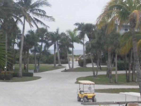 Thornton Key Preserve