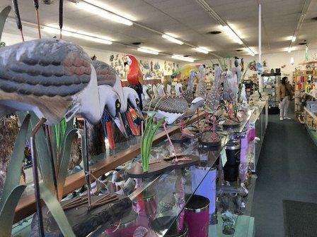 Green Parrot Gift Shop
