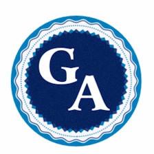 G.A Professional Tax, Immigration Service & More LLC.
