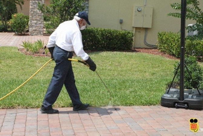 Truly Nolen Pest and Termite Control