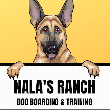 Nala's Ranch: Dog Boarding & Training