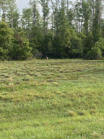 Cross Bar Ranch Environmental Education Center