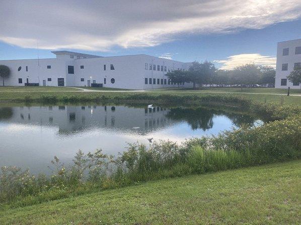 STC Pond
