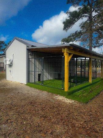 Nala's Ranch: Dog Boarding & Training