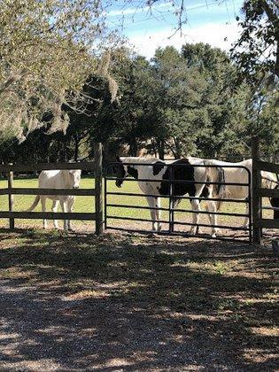 Double Down Ranch