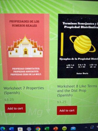 Teaching Bilingual Math LLC