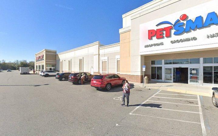 PetSmart Dog Training