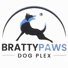 Bratty Paws Dog Plex