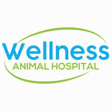 Wellness Animal Hospital - Bradenton