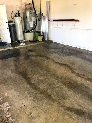 Coastal Mold