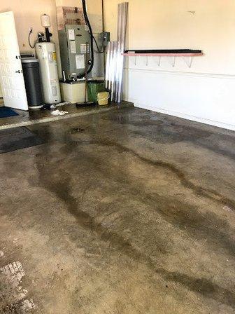 Coastal Mold