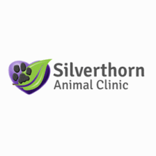 Silverthorn Animal Clinic