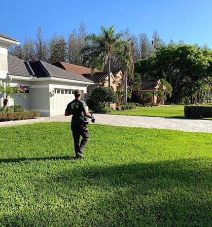 Green Land Lawn Pest Control