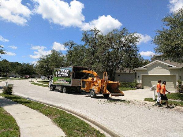 Sieber Tree Service