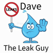 Dave The Leak Guy