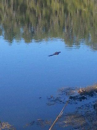 Nature's Reserve Homeowners