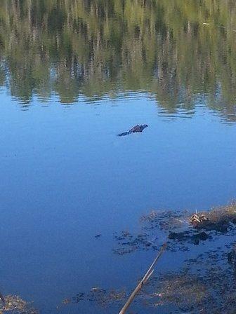 Nature's Reserve Homeowners