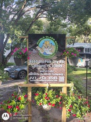 World Class Wildlife Removal And Rodent Remediation Co.
