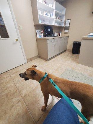 All Creatures Animal Clinic