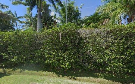 Jackson Holmes Painting - Bradenton FL