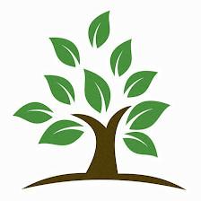 Oasis Wellness & Recovery (Ketamine Ocala)