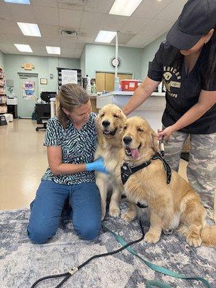 Silverthorn Animal Clinic