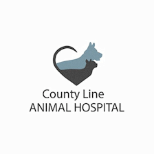 County Line Animal Hospital