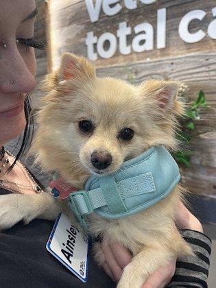 Vetco Total Care Animal Hospital