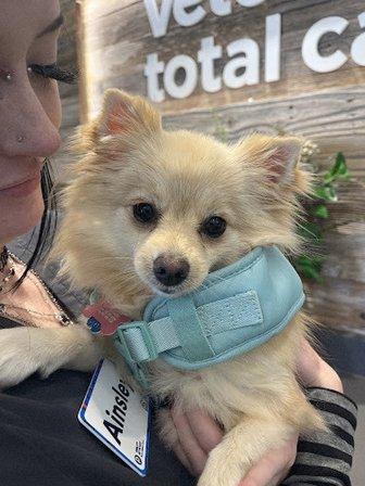 Vetco Total Care Animal Hospital
