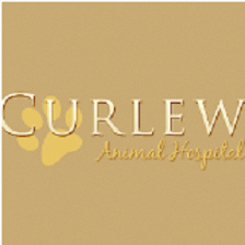 Curlew Animal Hospital