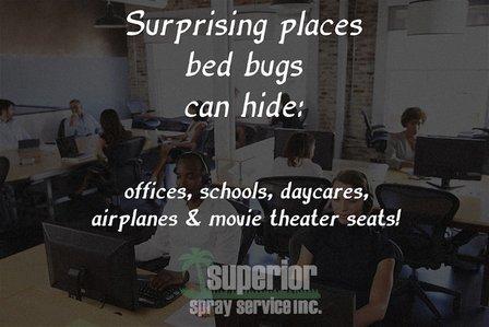 Superior Spray Service, Inc.