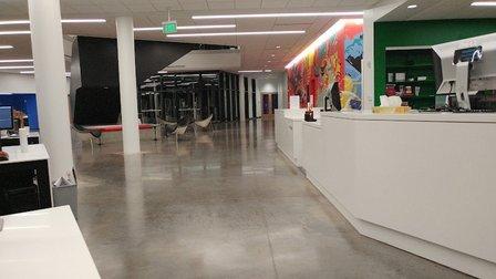 Alfred R. Goldstein Library at Ringling College of Art and Design